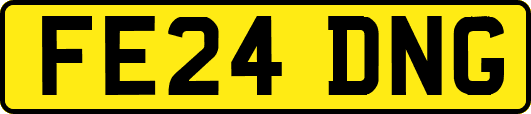 FE24DNG