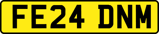 FE24DNM