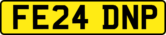 FE24DNP