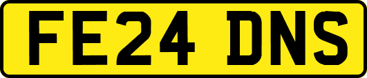 FE24DNS