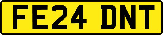 FE24DNT