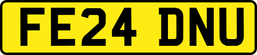 FE24DNU