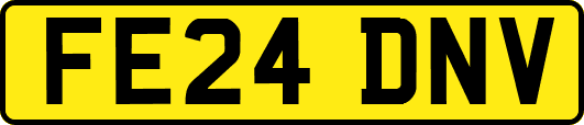 FE24DNV