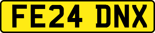 FE24DNX