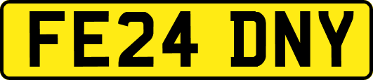 FE24DNY