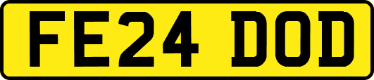FE24DOD