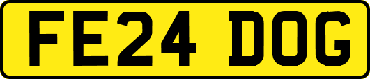 FE24DOG