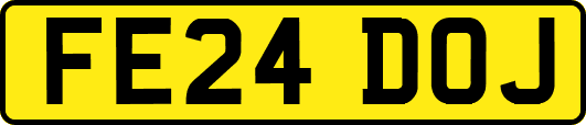 FE24DOJ