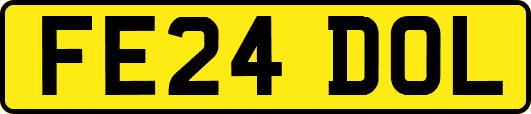 FE24DOL