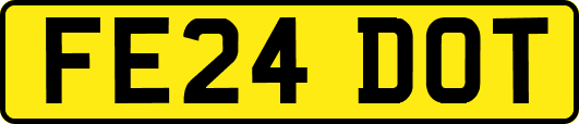 FE24DOT