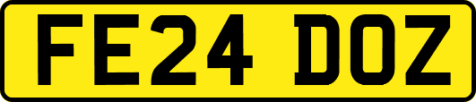 FE24DOZ