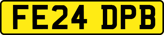 FE24DPB