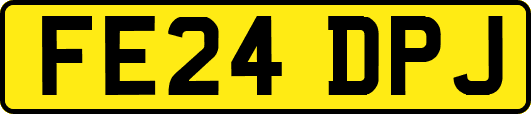 FE24DPJ
