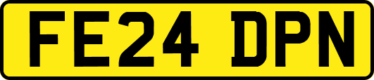 FE24DPN