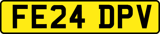 FE24DPV