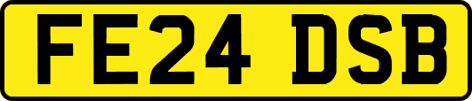 FE24DSB