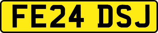 FE24DSJ