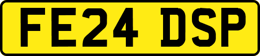 FE24DSP
