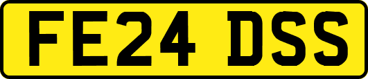 FE24DSS