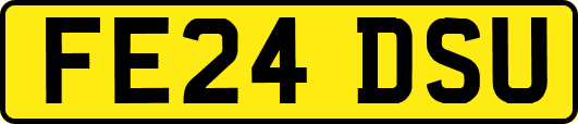 FE24DSU