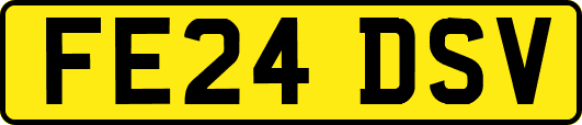 FE24DSV