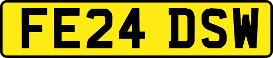 FE24DSW