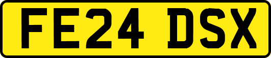 FE24DSX