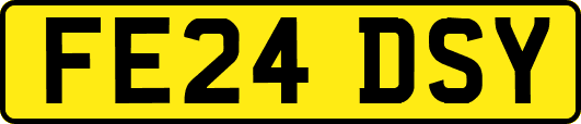 FE24DSY