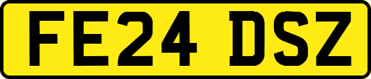 FE24DSZ