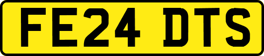 FE24DTS