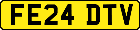 FE24DTV