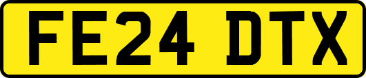 FE24DTX