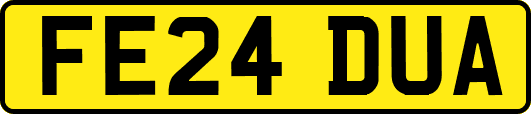 FE24DUA