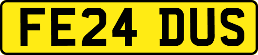 FE24DUS