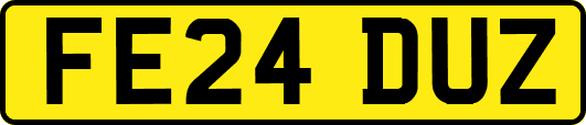 FE24DUZ