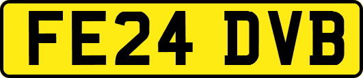 FE24DVB