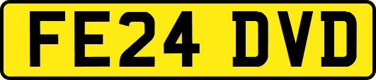 FE24DVD