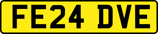 FE24DVE