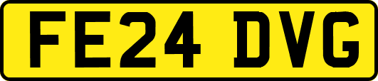 FE24DVG