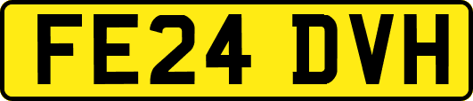 FE24DVH