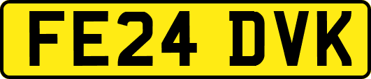 FE24DVK