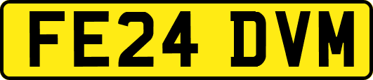 FE24DVM