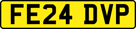 FE24DVP