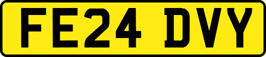 FE24DVY