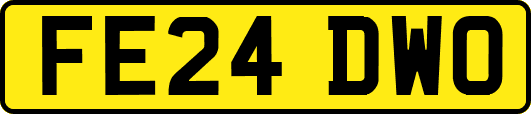 FE24DWO