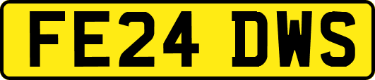 FE24DWS