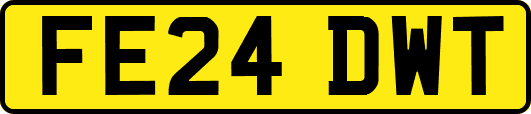 FE24DWT