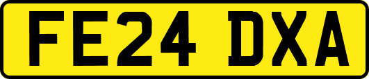 FE24DXA