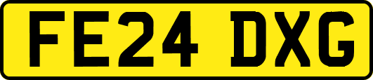 FE24DXG