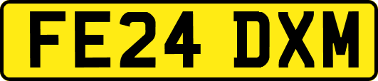 FE24DXM